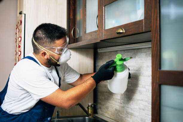 Best Emergency Pest Control  in Flora, IN