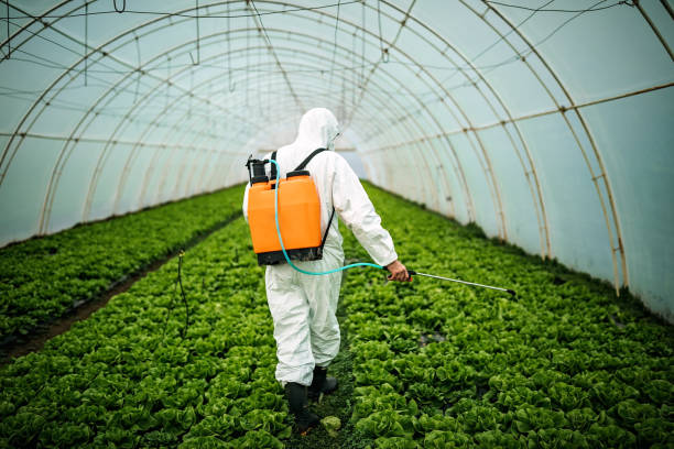 Best Affordable Pest Control Services  in Flora, IN