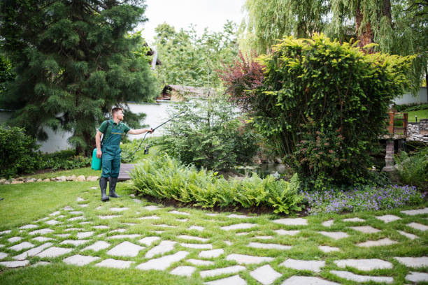 Best Local Pest Control Services  in Flora, IN