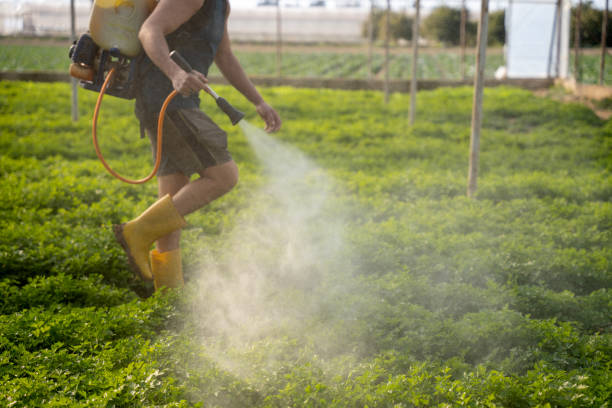 Best Ant Control Services  in Flora, IN