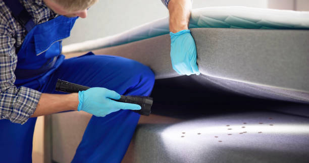 Best Best Pest Control Companies  in Flora, IN