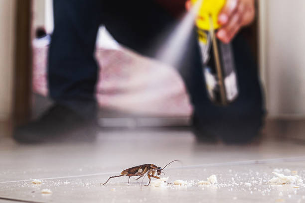 Best Pest Control Treatment  in Flora, IN