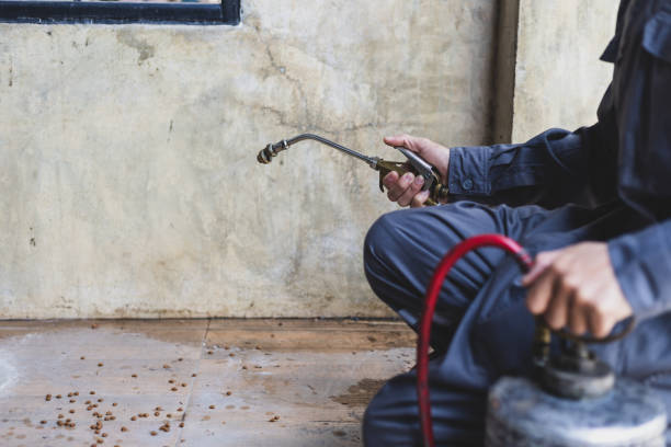 Best Wasp Removal Services  in Flora, IN